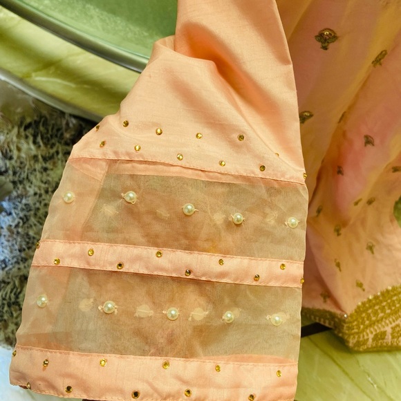 Designer organza suit - Picture 5 of 7